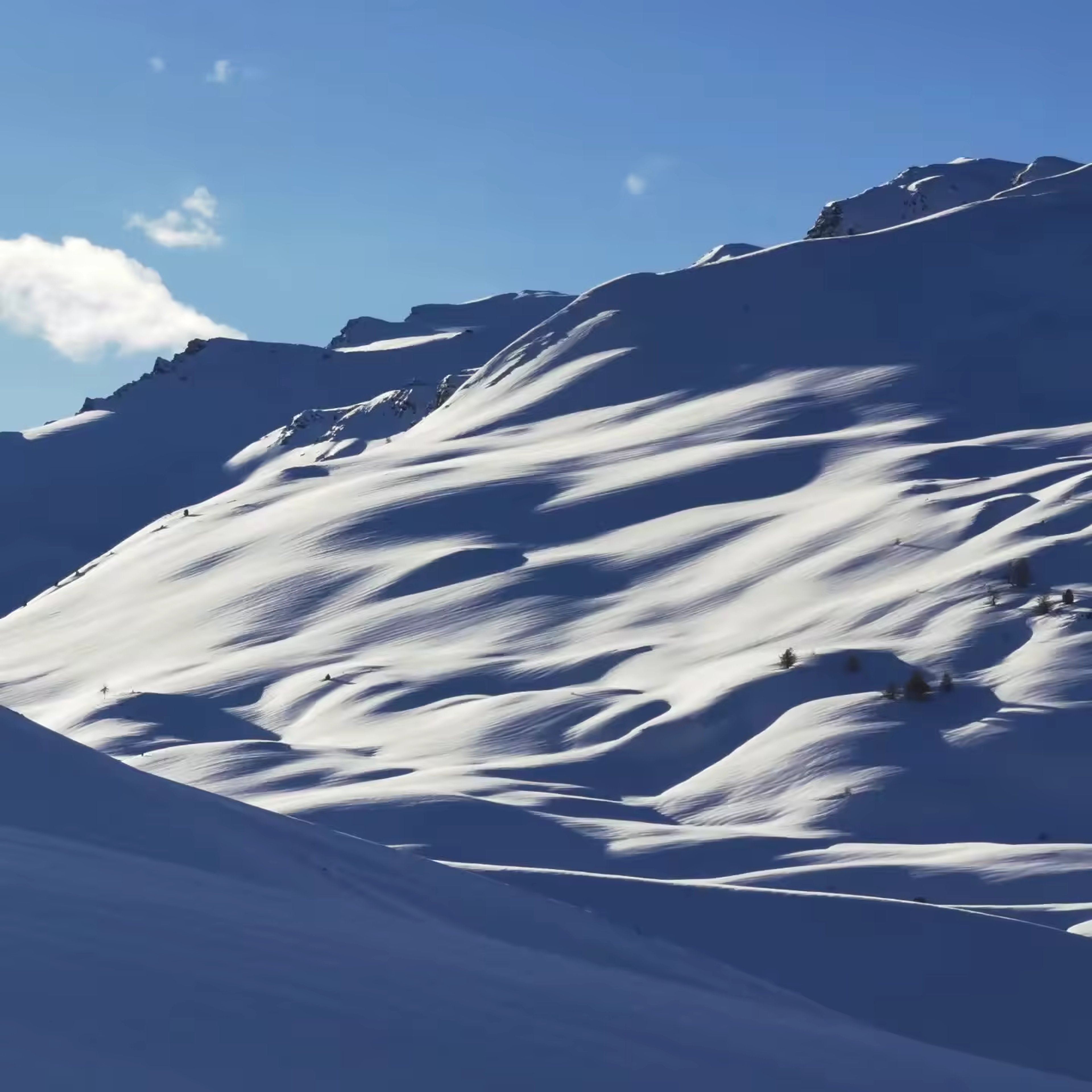 Journée Freerando Les Orres