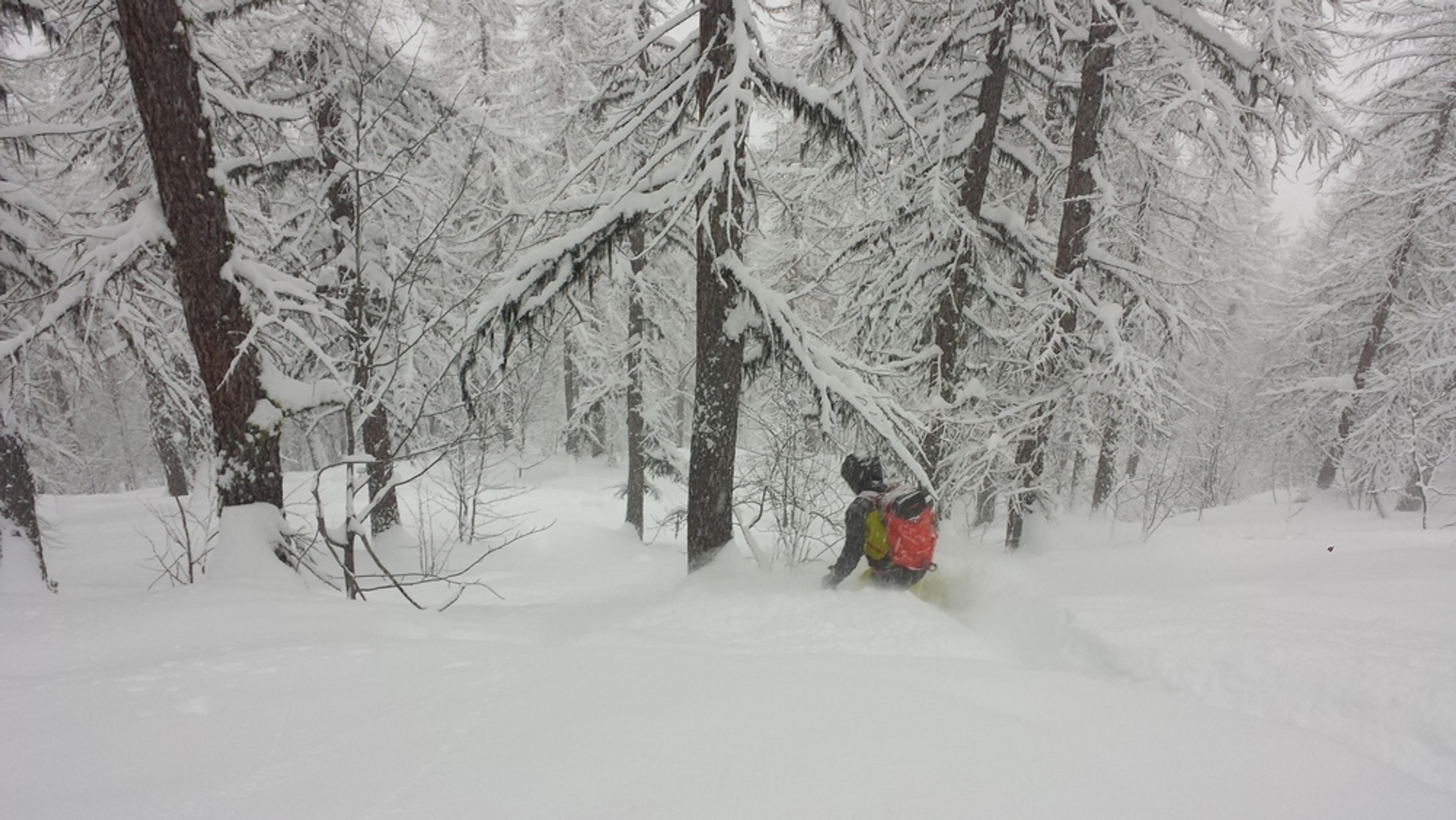 Hors-piste Puy-St-Vincent - Y a de la popow!
