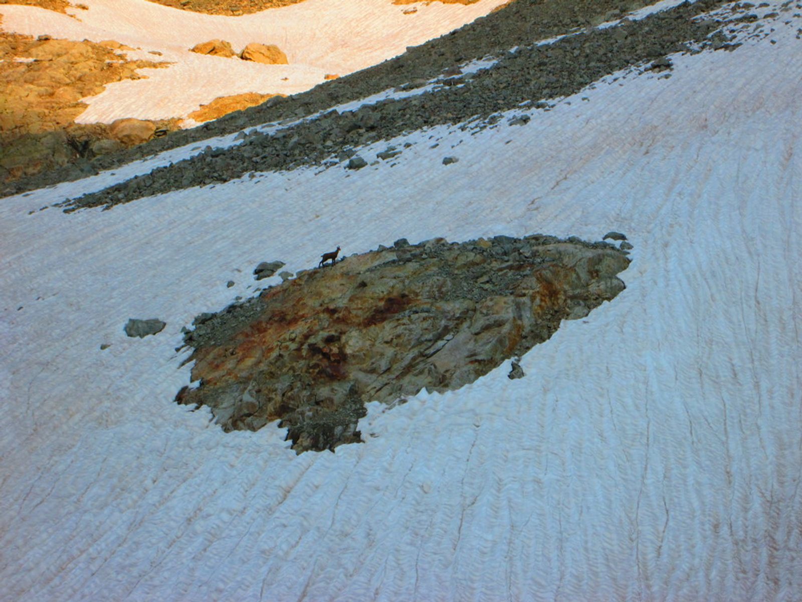 initiation alpinisme - Chamois