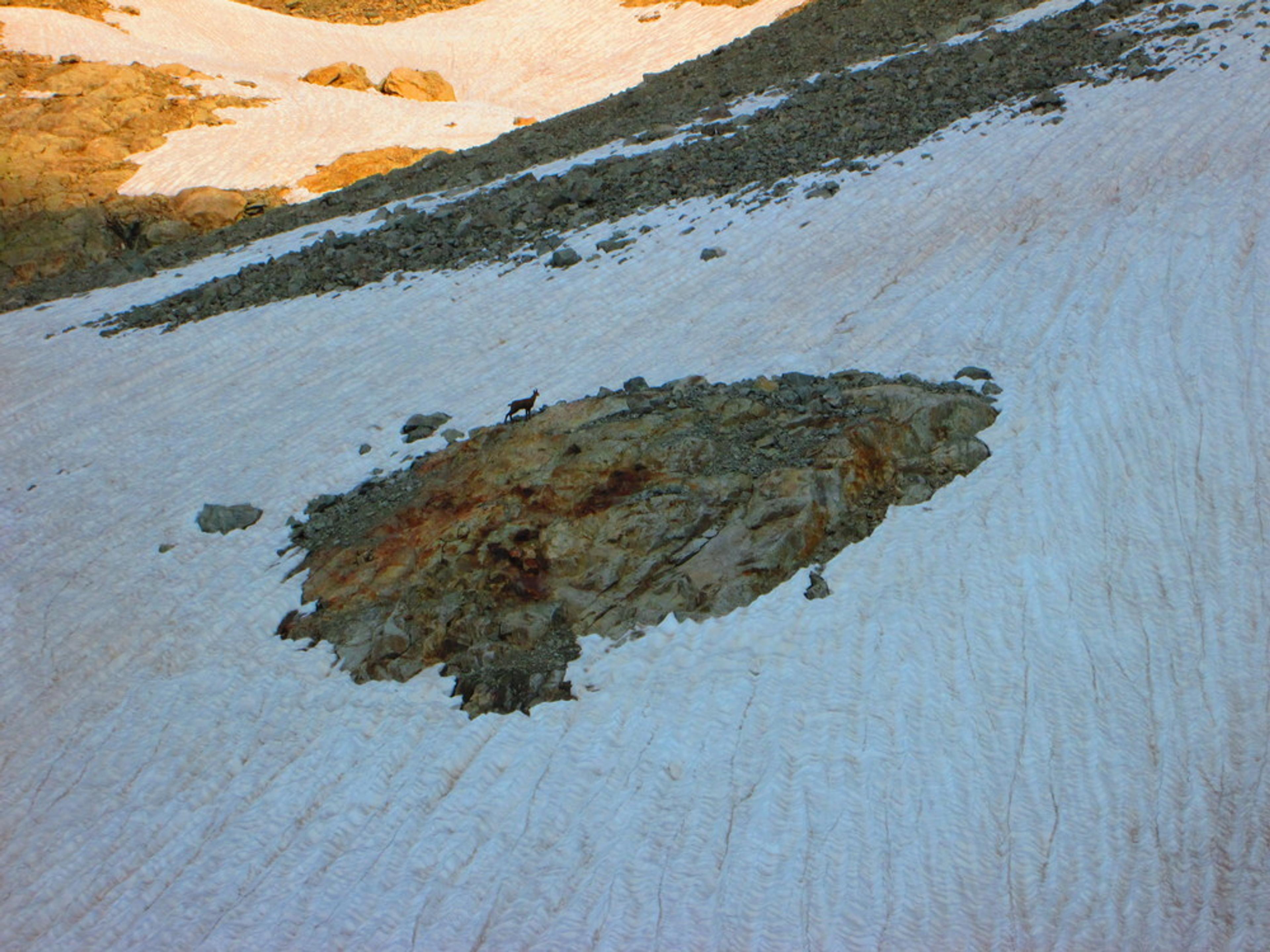 initiation alpinisme - Chamois