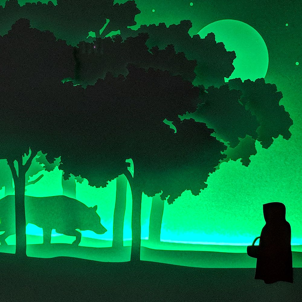 Shadow In The Woods