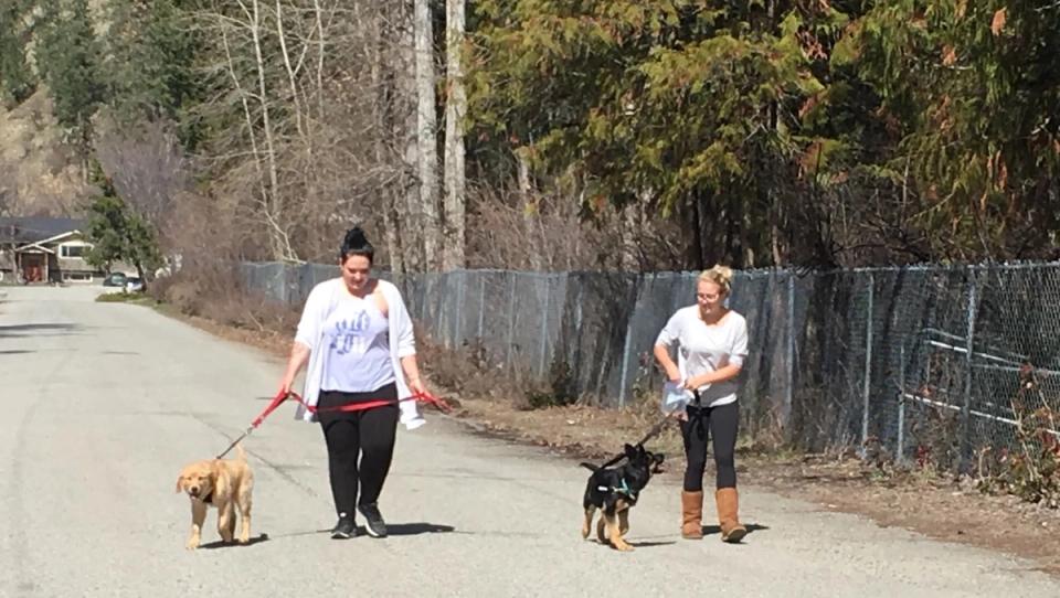 2 people walking a golden retriever puppy and a German shepherd puppy on leash