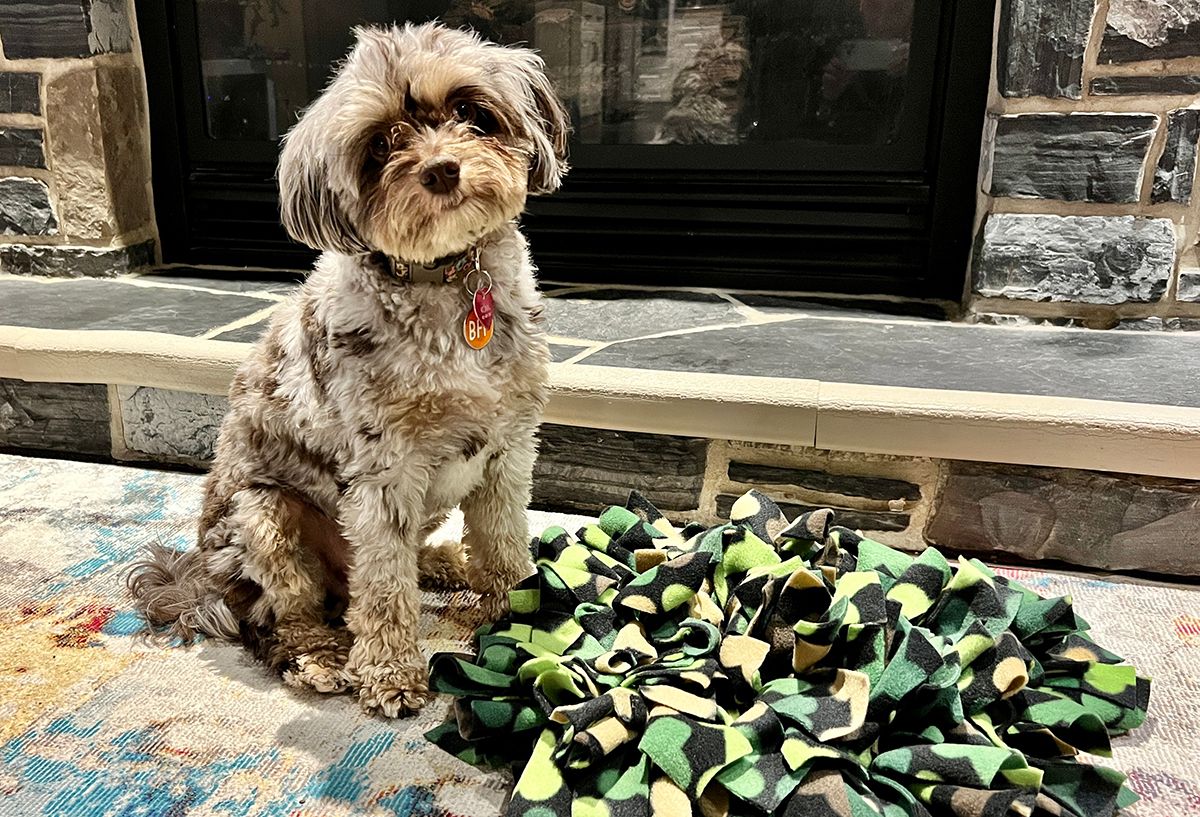 dog with snuffle mat