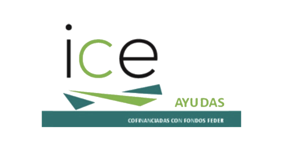 ICECYL (Instituto para la Competitividad Empresarial)