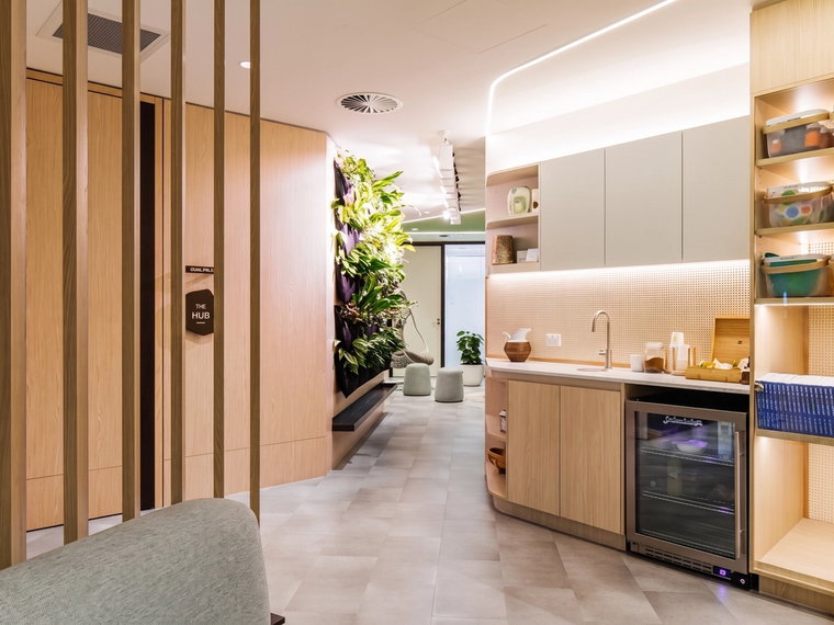 The kitchen and green wall