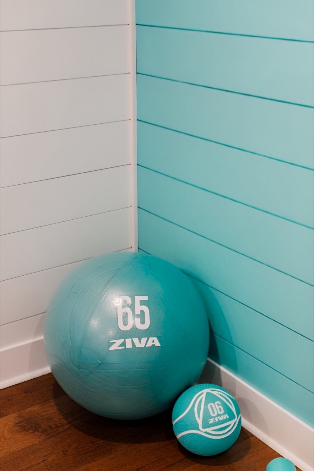 Tiffany Blue Workout Room by Jennifer Ryan Design