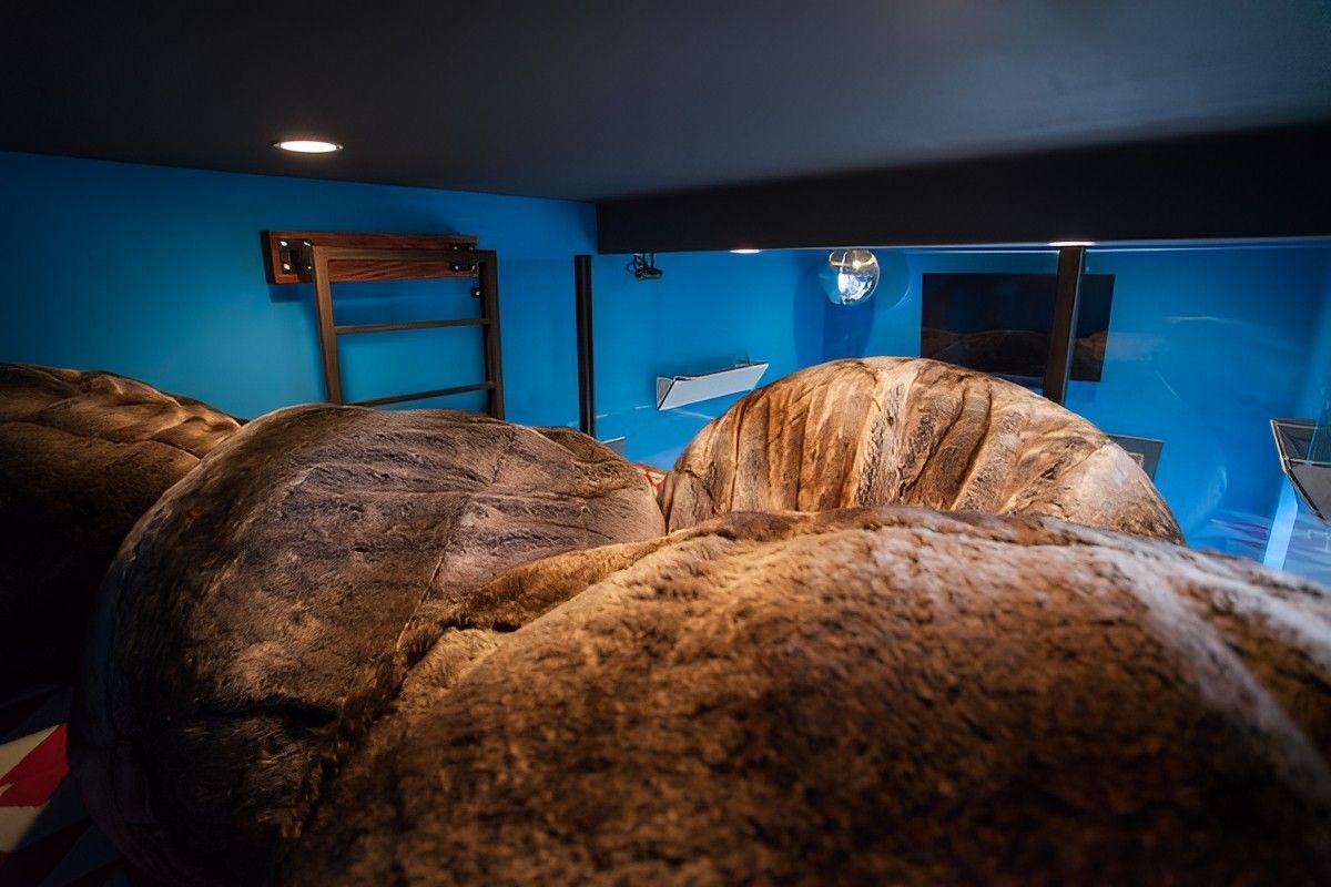 Game Room by Jennifer Ryan Design