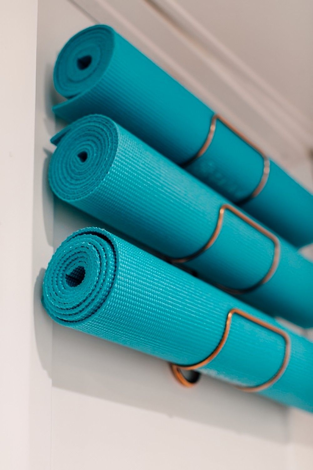 Tiffany Blue Workout Room by Jennifer Ryan Design