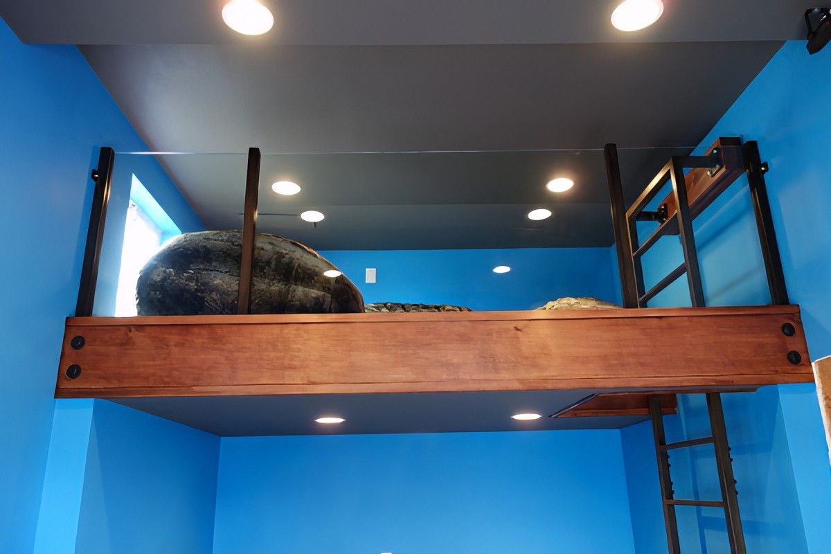 Game Room by Jennifer Ryan Design