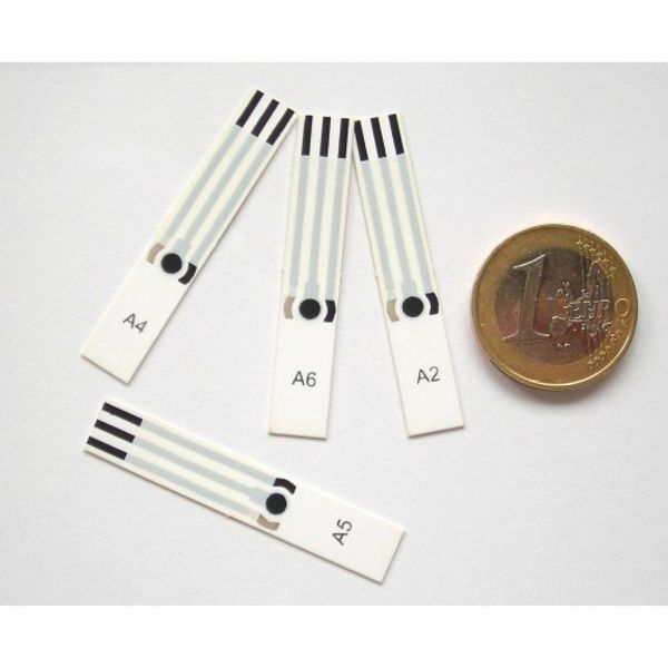 Screen printed electrodes