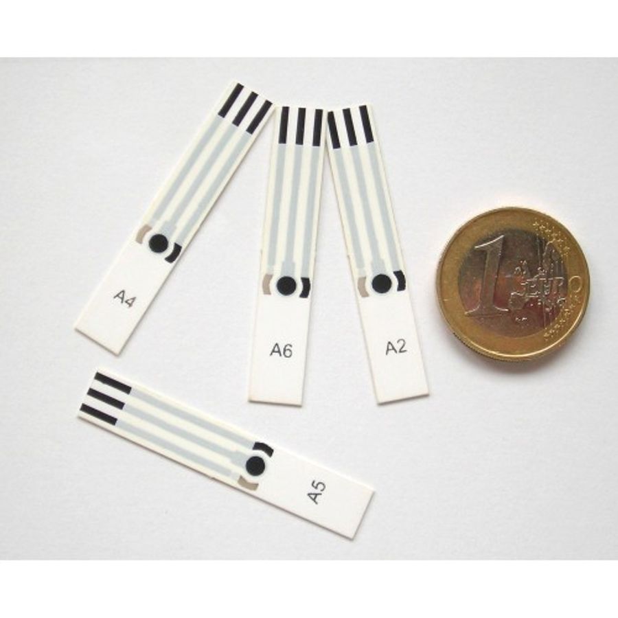 Screen printed electrodes