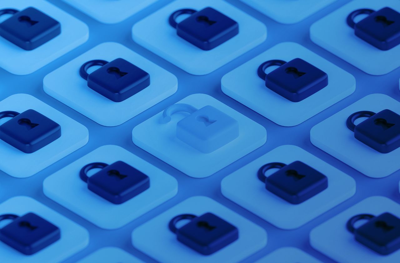 The Ultimate Guide to Security Awareness Program Frameworks for Businesses blog image | EMPIST