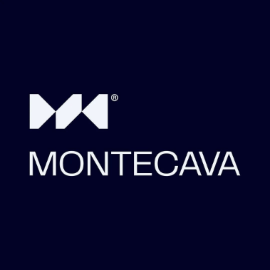 Montecava Consultores