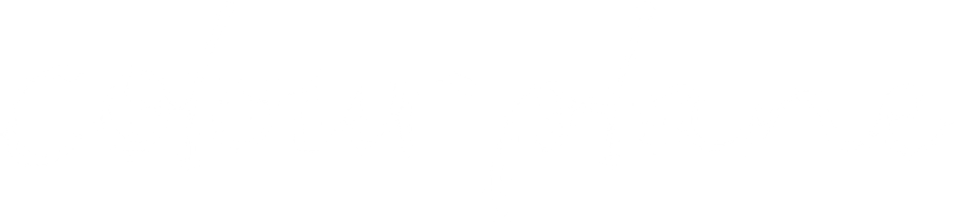 Colour plane logo in white