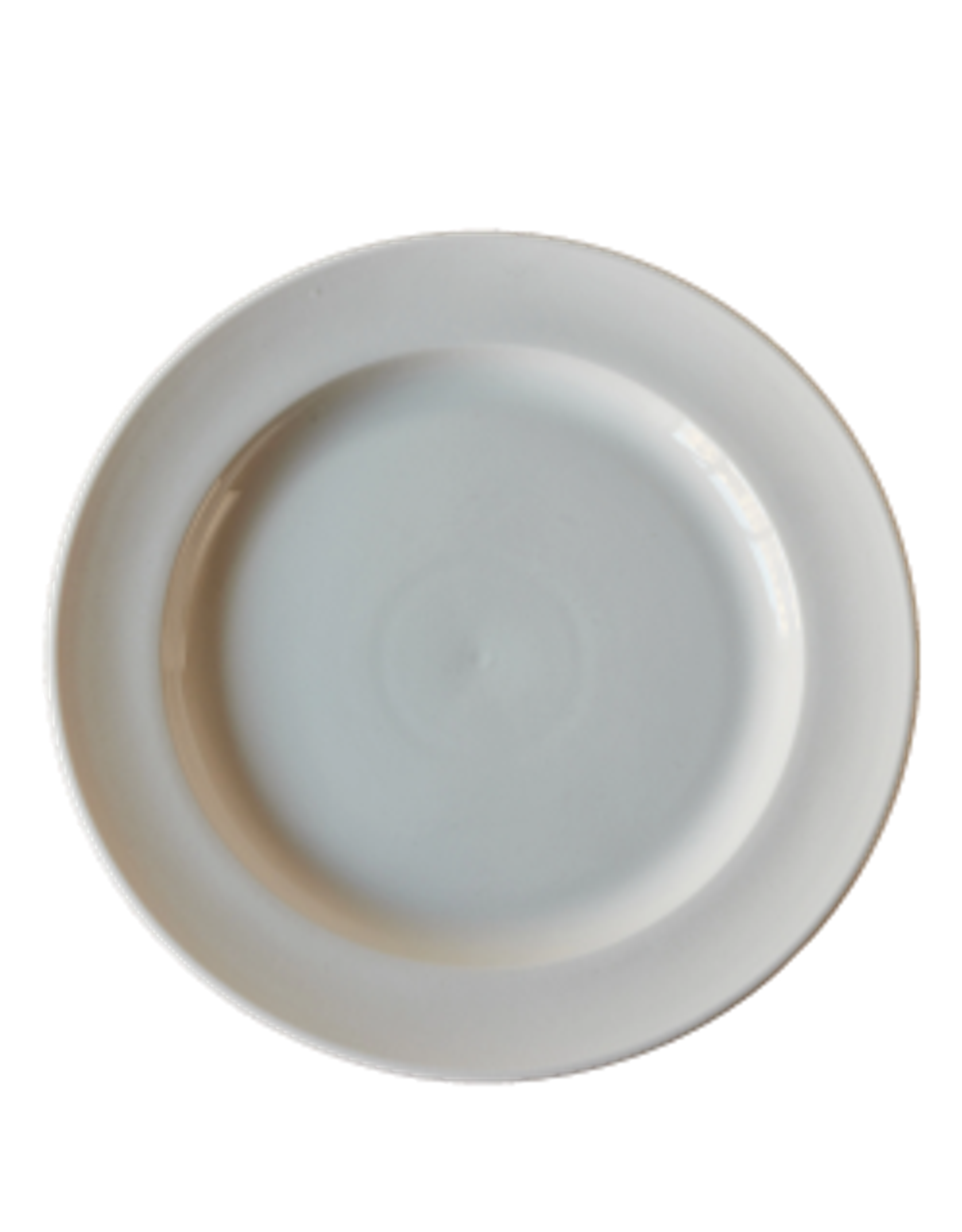 Dinner plate