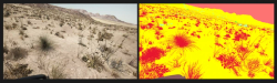The inherent difficulty of the labeling task can also amplify labeling errors and subjectivity. In the Bifrost-generated desert scene below, grasses and shrubs must be annotated with their pixel-level segmentation masks (on the right). Imagine how difficult and time-consuming it would be for a human to do this!