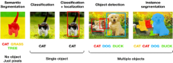 Example of image data labeling.