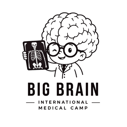 camp_main_logo