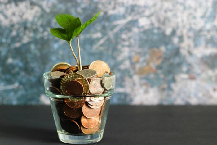 Green shoots of growth from a glass of coins