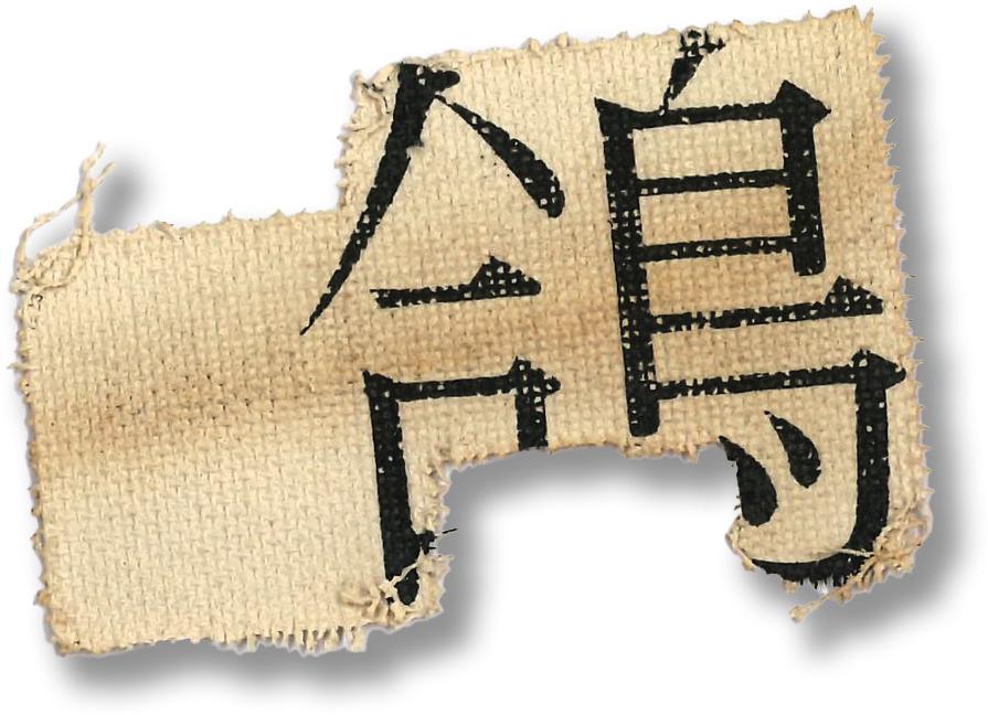 鴿