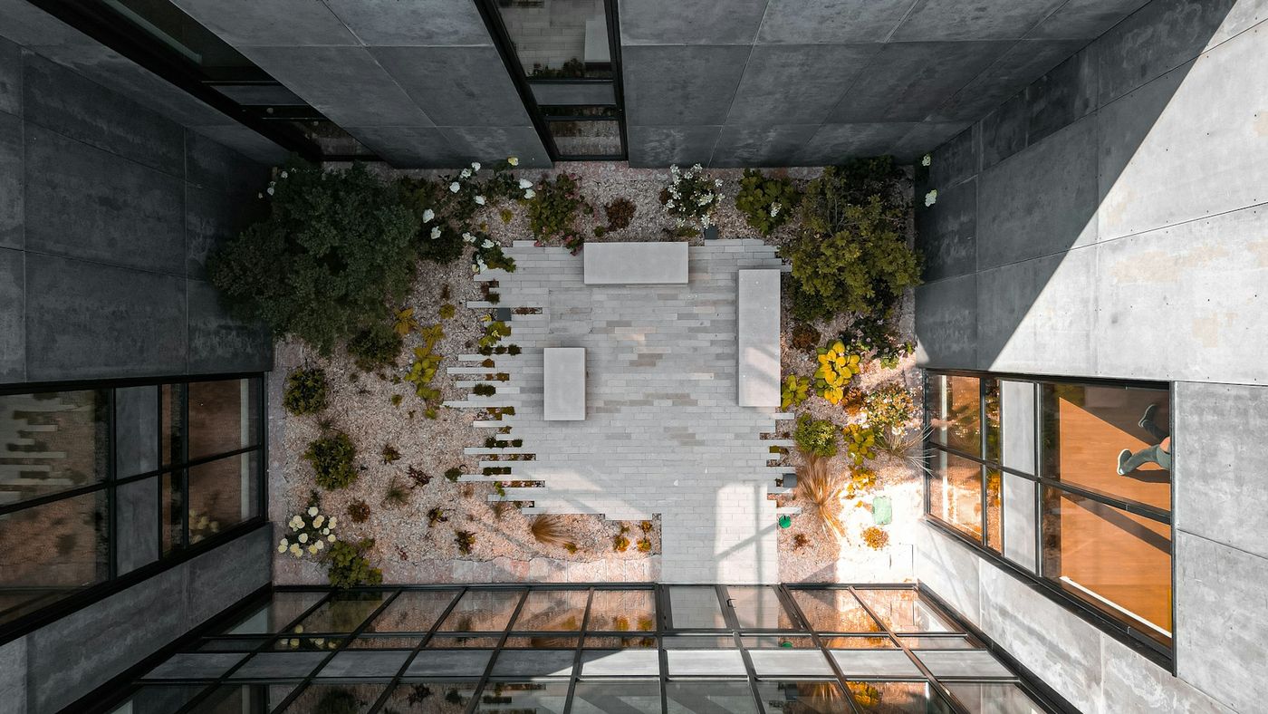 A planted courtyard framed by concrete and glass