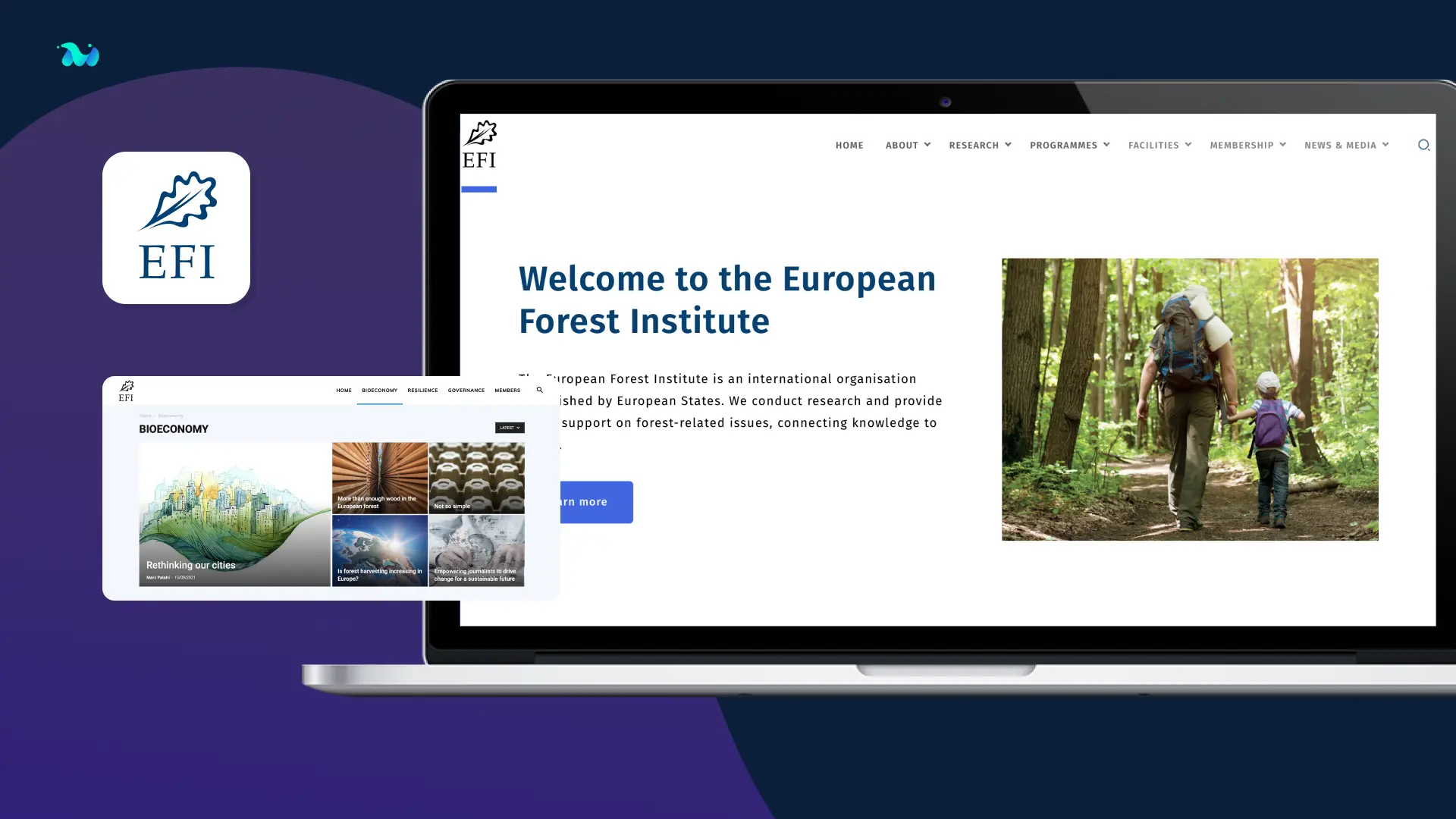 Redesign of Institutional Website for International Organisation