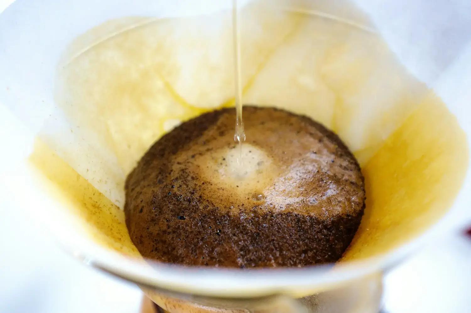Cannabis mit Kaffeesatz dngen: Darauf musst du achten