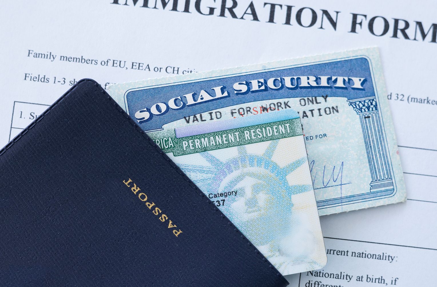 Employment Based Visas Icon