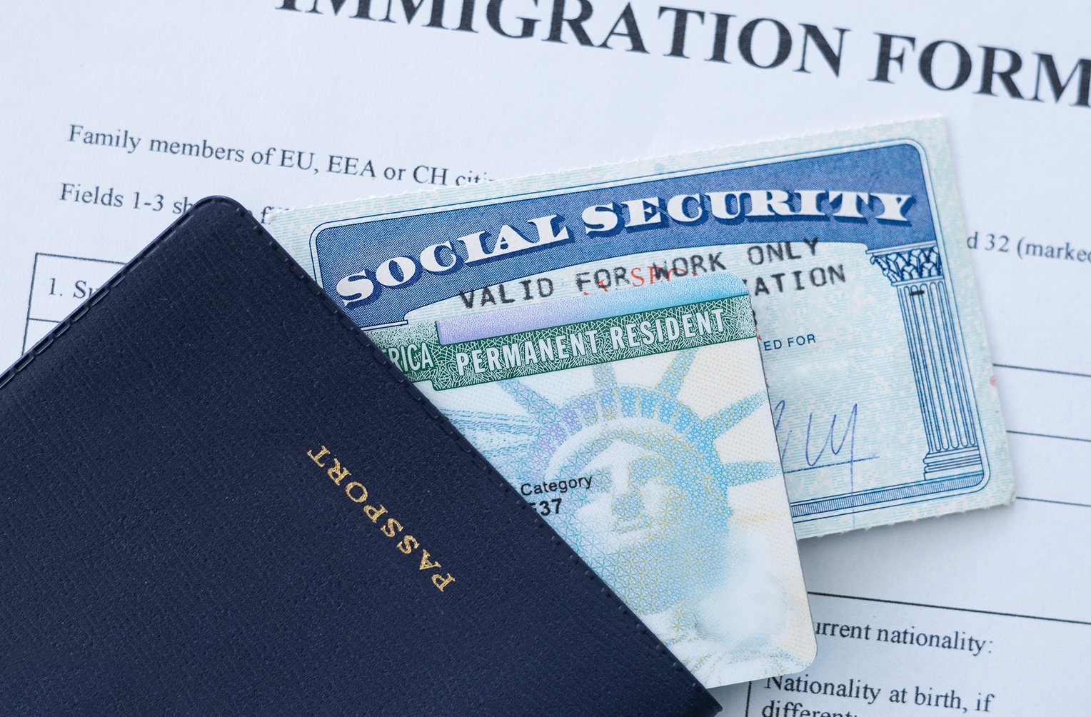 Employment Based Visas Icon