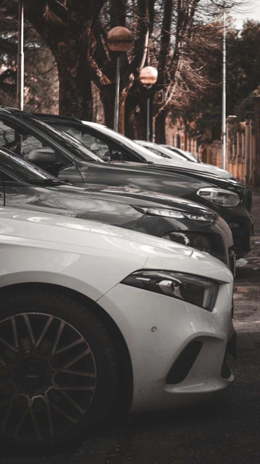 Carros estacionados lado a lado em rua arborizada, destacando veículos modernos e elegantes, representando comparação, escolha e mercado automotivo