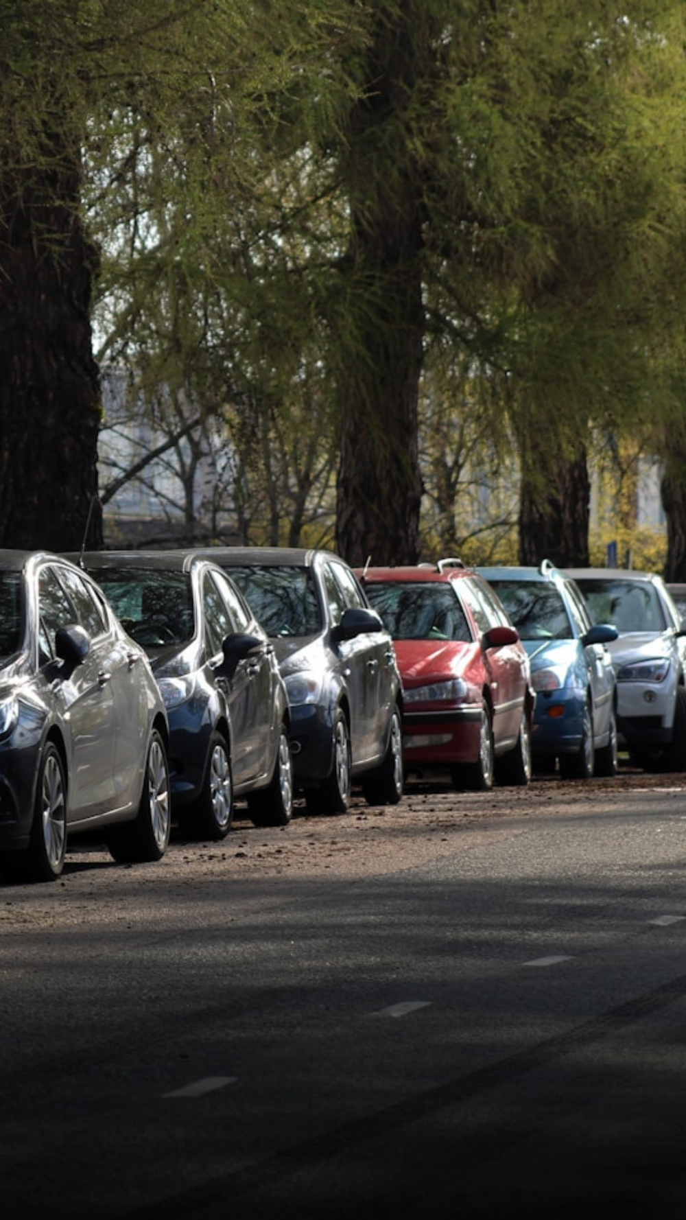 Carros estacionados em fila ao longo de rua arborizada, representando variedade de veículos, mobilidade urbana e opções no mercado automotivo