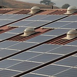 Image for Sustainability at Oberlin