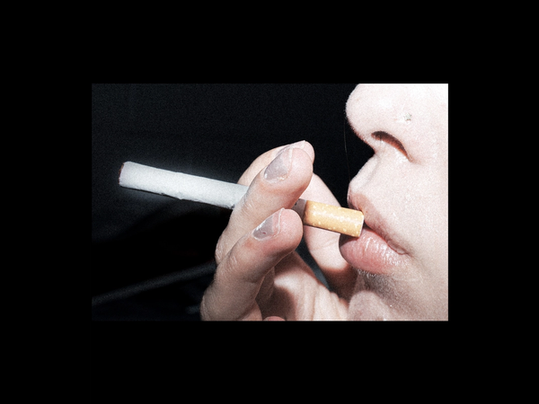 Image for Tobacco Free or Tobacco Friendly