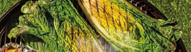Grilled Caesar Salad