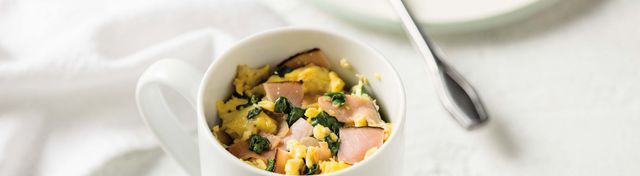Simple Mug Omelet