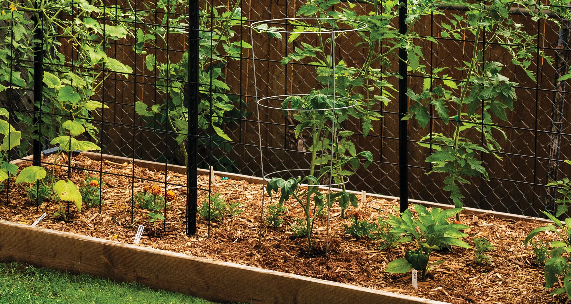 Grow That Garden Schnucks