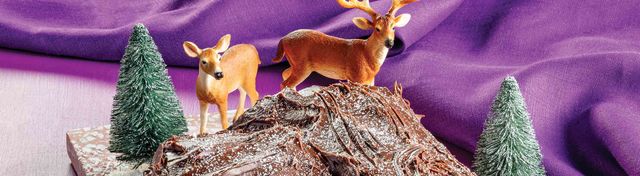 Mocha Crunch Yule Log