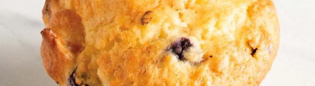 Apricot Blueberry Coconut Muffins