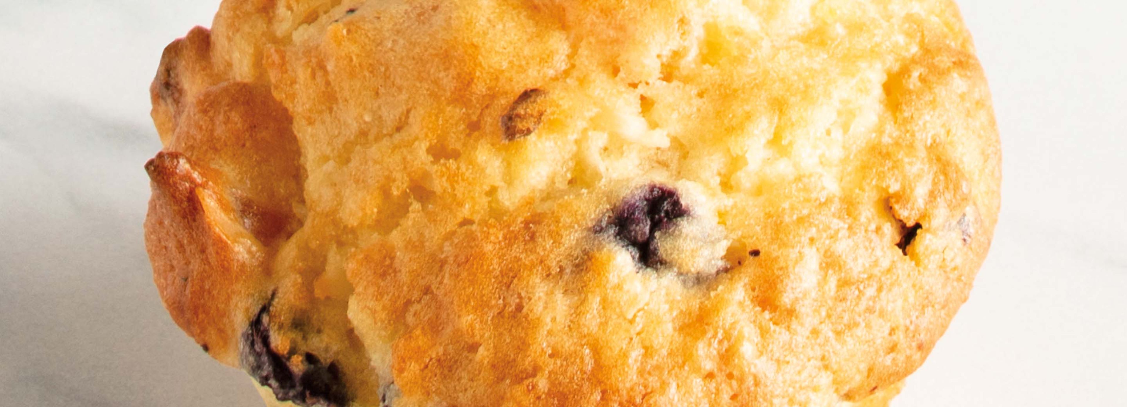 Apricot Blueberry Coconut Muffins