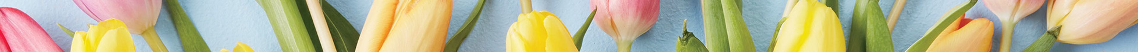 Four Tips to Boost Your Spring Flowers and Bouquets