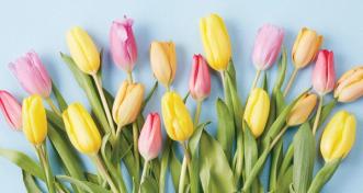 Four Tips to Boost Your Spring Flowers and Bouquets