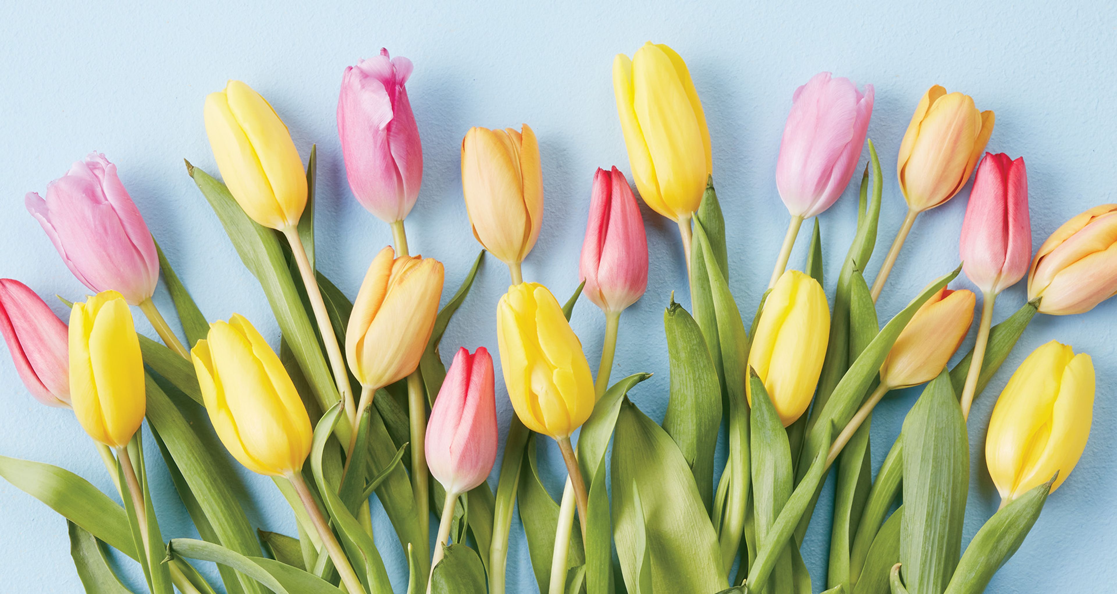 Four Tips to Boost Your Spring Flowers and Bouquets