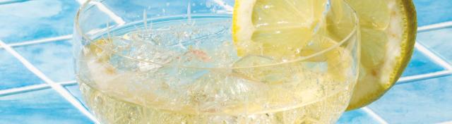 Sparkling Citrus Spritz