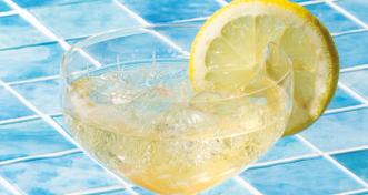 Sparkling Citrus Spritz
