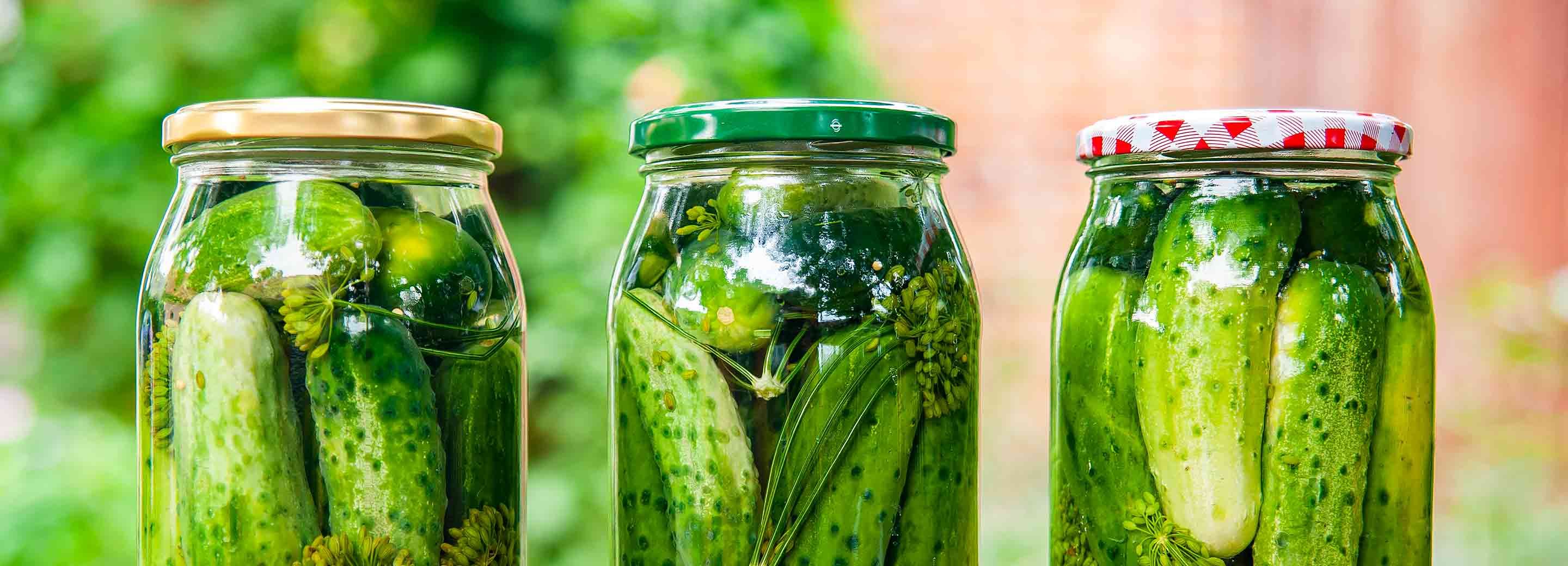 Easy Quick Pickles