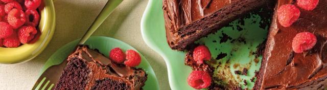 Old-Fashioned Cocoa Fudge Cake