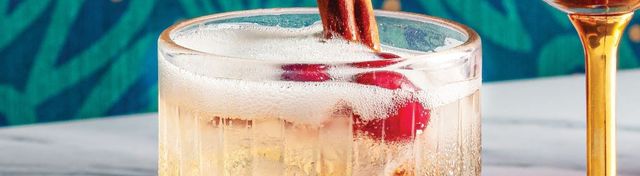 Apple Cider Bourbon Fizz