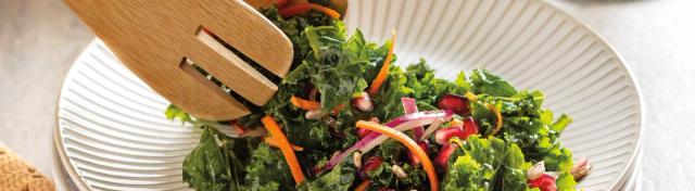Holiday Kale Salad