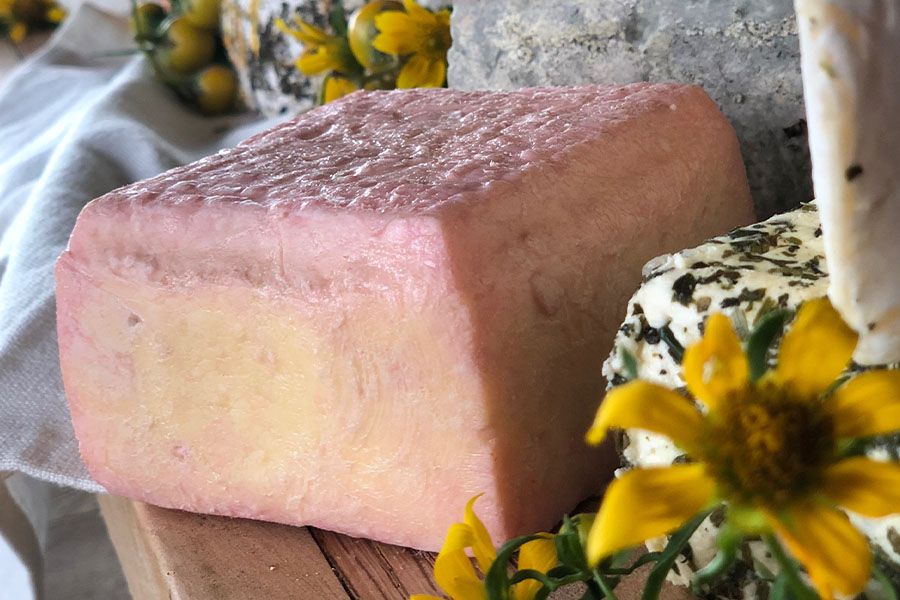 TIGER LILY Tiger Lily