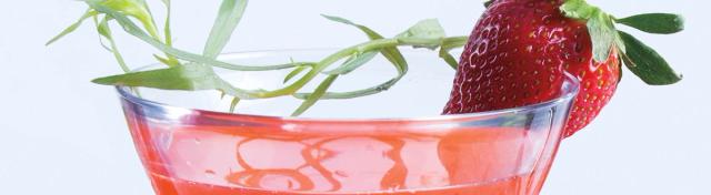 Strawberry Tarragon Gin Cocktail